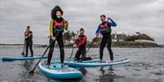 A group enjoying Stand Up Paddleboarding on Strangford Lough