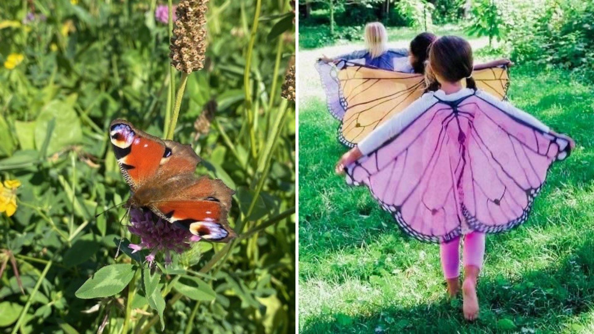 2 images, one on left the up close of a butterfly and the one on the right little girls walking away with butterfly wings in a green garden