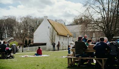 Visitors enjoying picnics in the grounds of the Folk Museum
