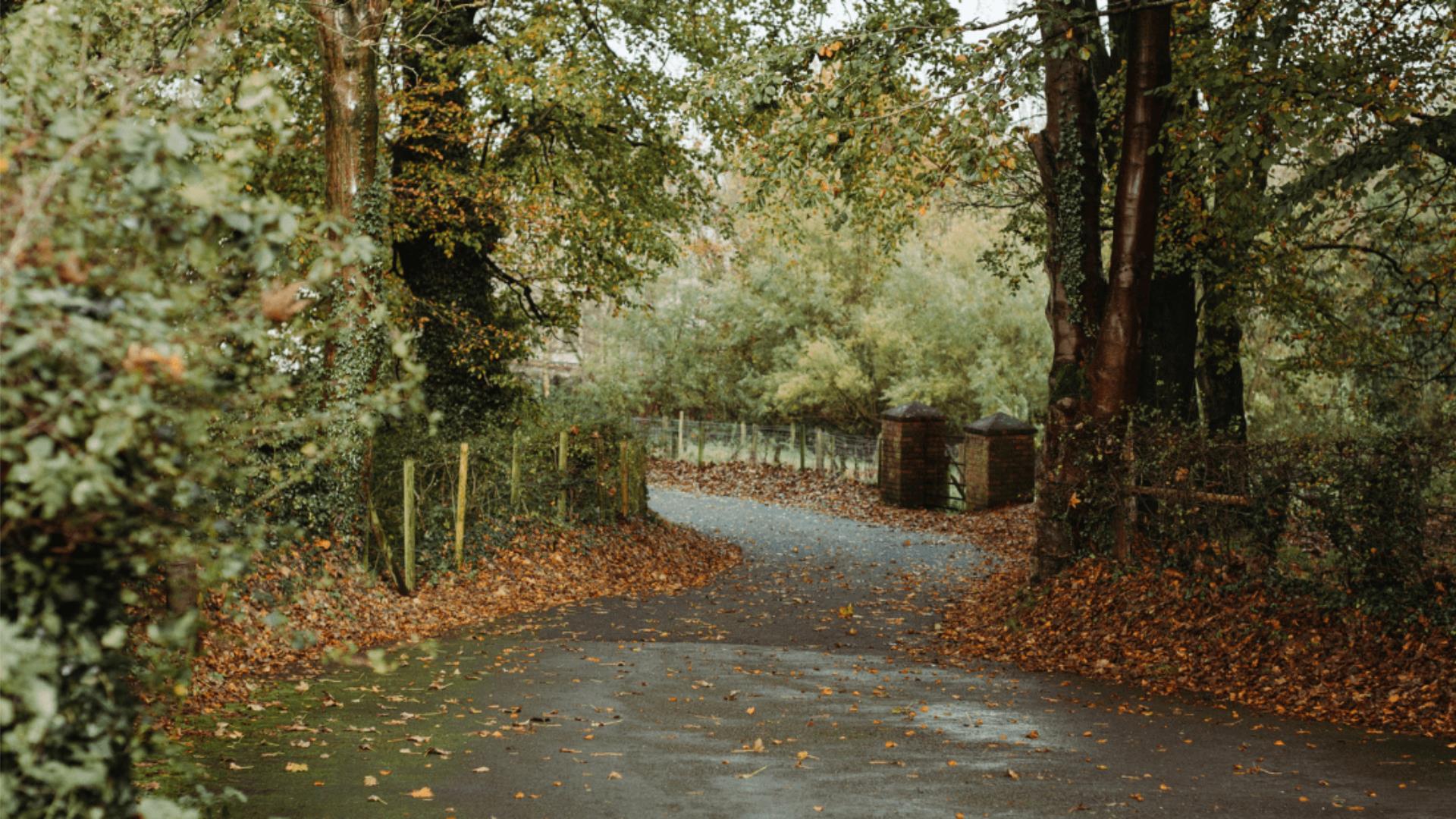 An Autumn Gathering at Ulster Folk Museum - Nature in Holywood