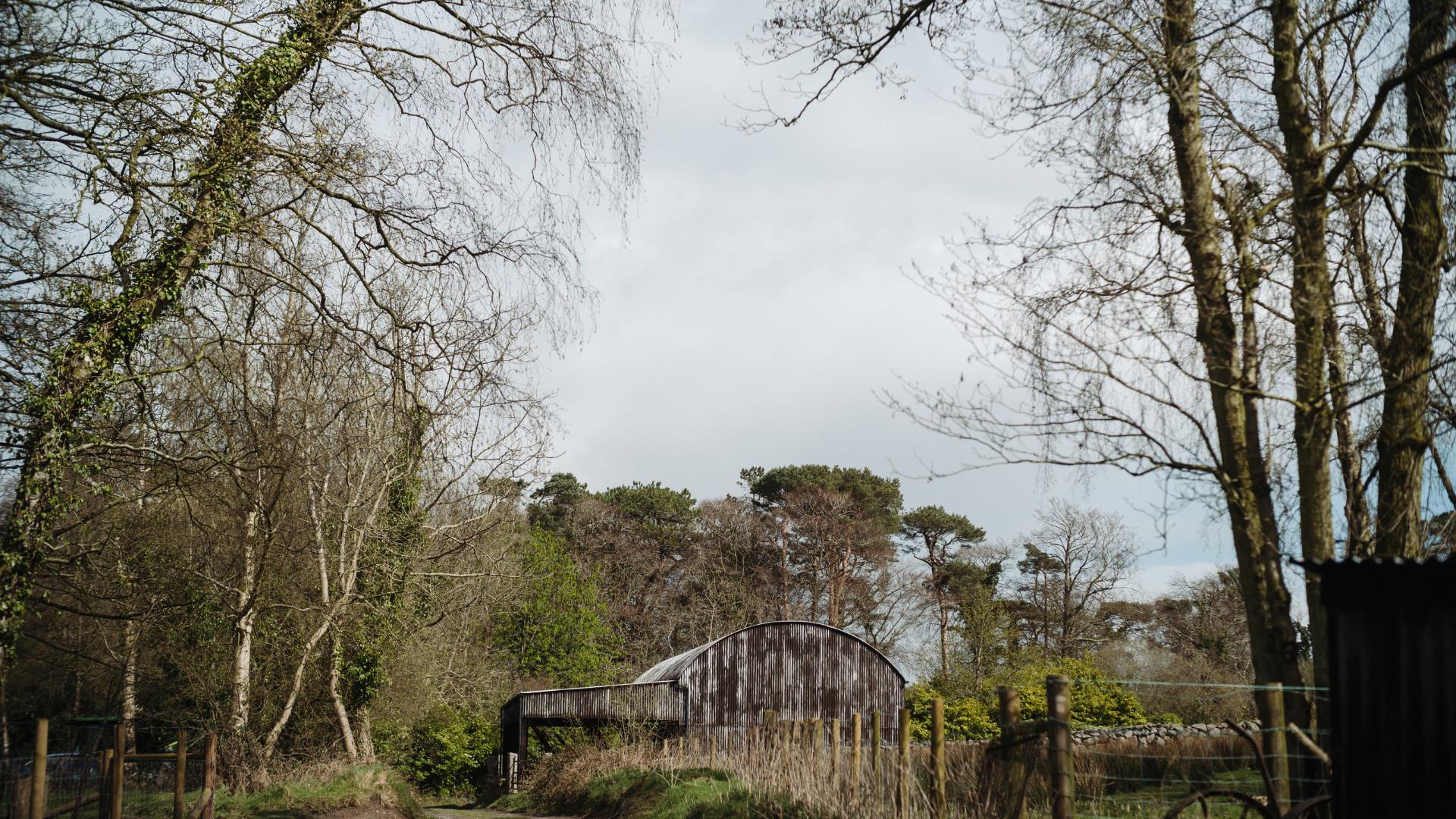 Trees in the Ulster Folk Museum