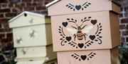 A photo of two pretty Bee hives at the Walled Garden Helen's Bay