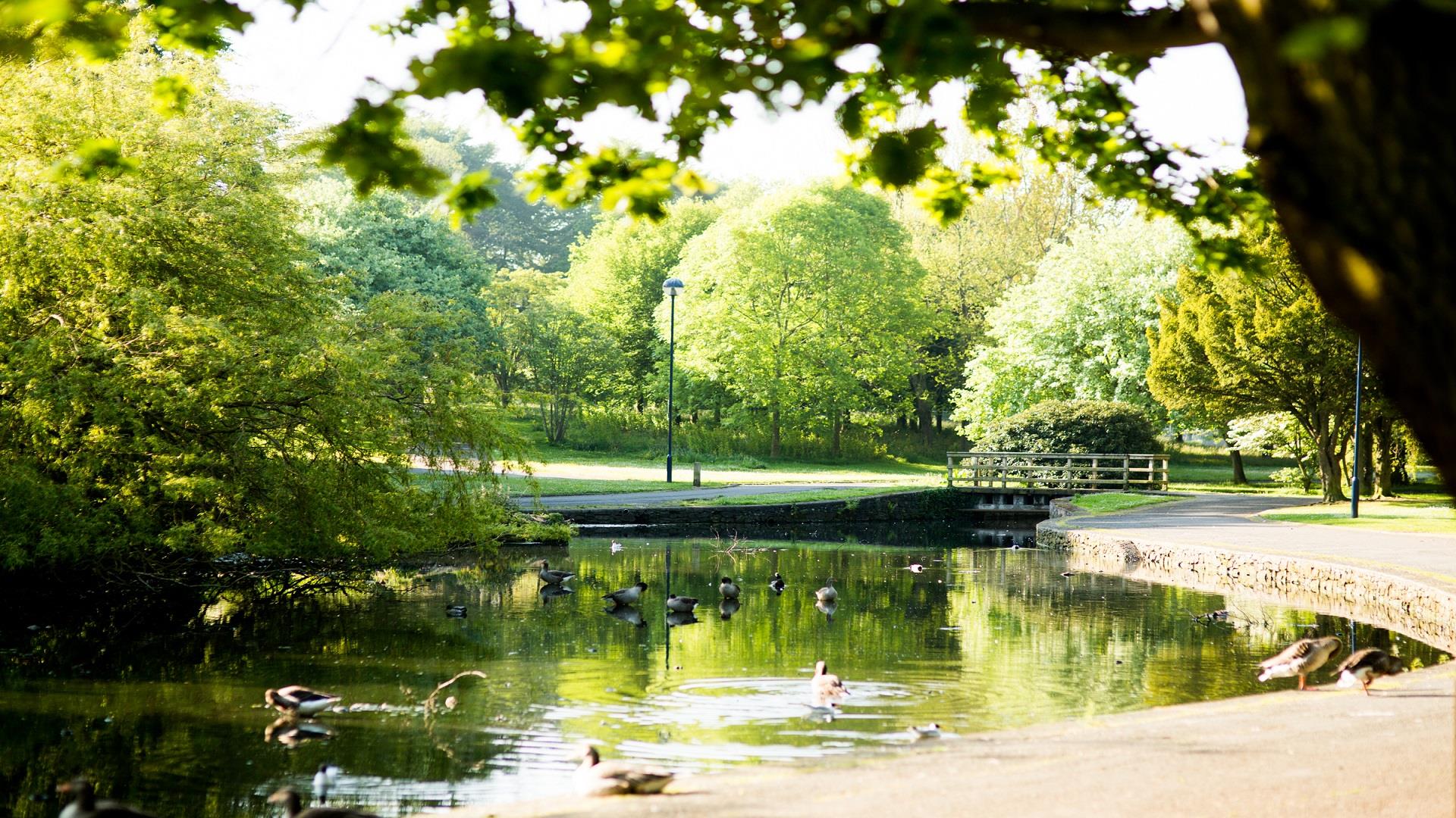 Photo of the Ward Park duck pond and wooden bridge, surrounded by leafy green trees mid summer