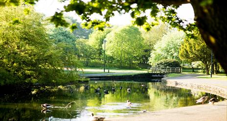 Photo of the Ward Park duck pond and wooden bridge, surrounded by leafy green trees mid summer