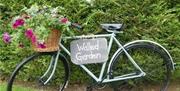 A decorative bicycle with a basket of flowers and a sign saying Walled Garden attached to it.