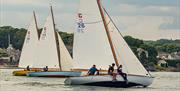 The Narrows sailing regatta