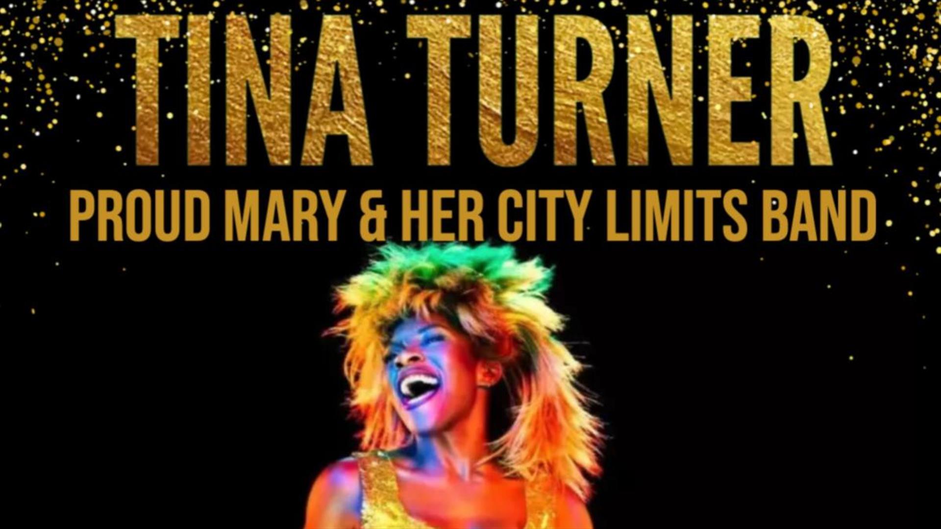 Amanda Lane  as Tina Turner  Tribute Act