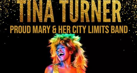 Amanda Lane  as Tina Turner  Tribute Act
