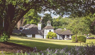An exterior image of The Cultra Inn at Culloden Estate and Spa with a tree and flowers in the foreground and trees in the background. The Belfast hills can be viewed in the distance.